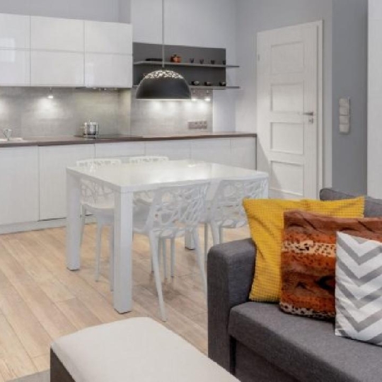  MAZALINE IMMOBILIER : Appartement | LE PONT-DE-BEAUVOISIN (38480) | 39 m2 | 158 400 € 